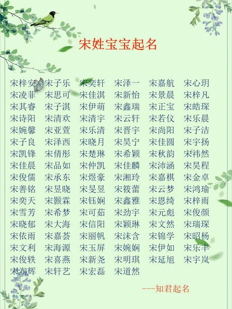 025年宋姓虎宝宝起名叠音字