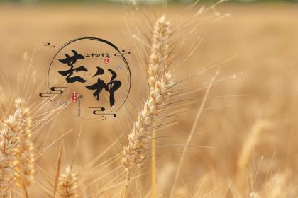 021年12月7日大雪节气出生的男孩起名五行起名字典"