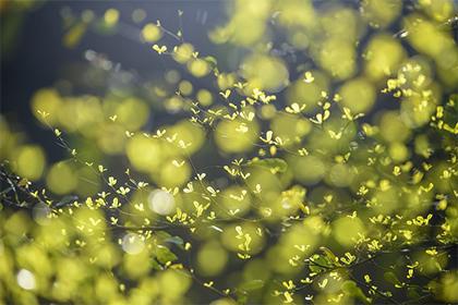 022年6月6日出生男孩五行缺土取名大全"