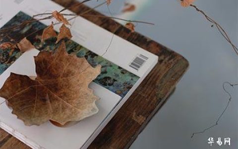 盖姓的历史来源，作为姓氏盖怎么读音