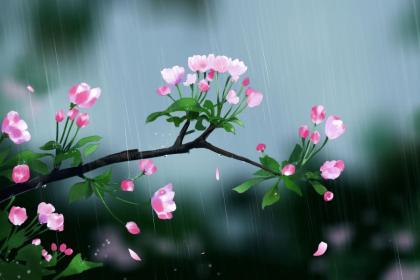 021年霜降节气出生女孩缺土起名大全，女孩优雅名字"