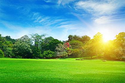 022年元宵节出生的孩子五行属什么？如何取名？"