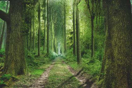 020年七月十五中元节出生的男孩五行缺木起名"