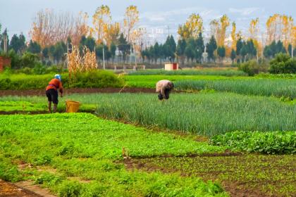 022年2月18日出生的女孩缺什么？五行女孩起名"