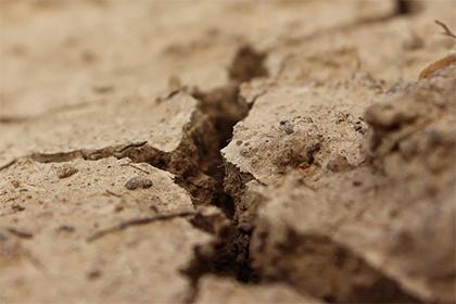 021年腊月二十一出生的女孩五行缺土高雅有涵养的名字"