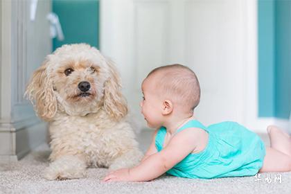 022年8月20日出生的女孩起名字大全免费2022年"