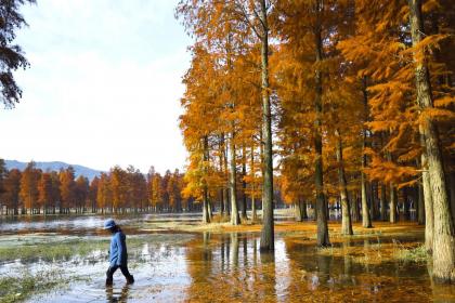 土命缺木取什么名字，土命宝宝五行缺木起名大全