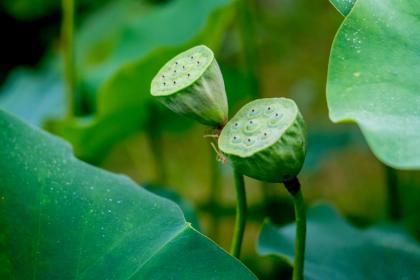 021年大雪节气出生五行缺水的男孩叫什么名字好？"