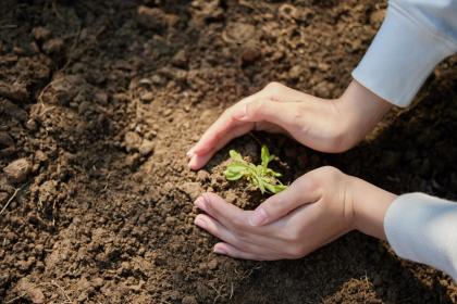 021年处暑出生男孩五行缺水起名字叫什么好"