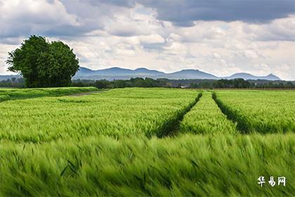 林姓氏名望都有谁？姓林的明星有哪些？