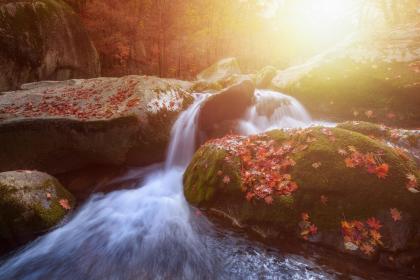 022年农历二月二十日出生五行缺金缺火的女孩名字"