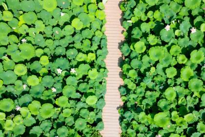 021年大暑出生的男孩缺金起名字有寓意的男孩名字"