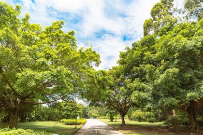 022年2月17日出生的男孩五行缺火吗？缺火男孩好名字"