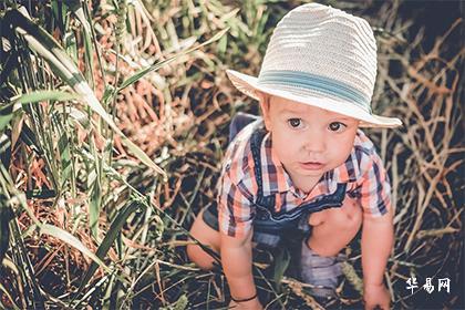 022年腊月二十出生的属虎缺火男宝宝取名字冷门推荐"