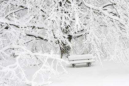 021年冬天出生的牛宝宝小名大全"