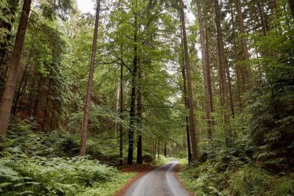 019年5月28号出生的女宝宝五行缺金要怎么起名字"