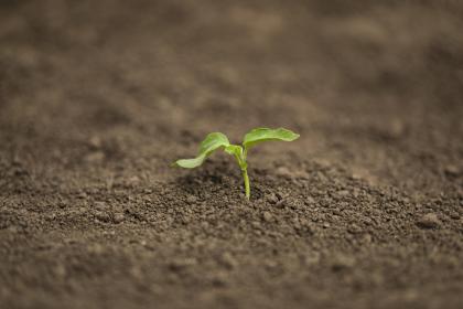 020年农历三月二十日出生的男孩五行起名，吉利名字大全"