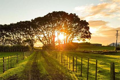 019年6月25号出生的女宝宝五行缺木要怎么起名字"
