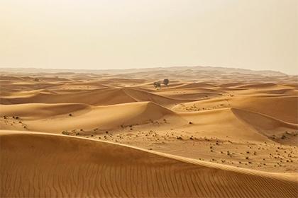 019年夏至日出生的宝宝五行缺什么，小名取什么好？"