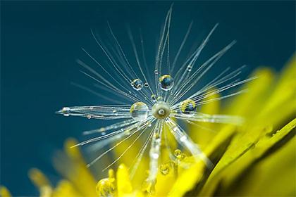 021年农历十一月初六出生女孩起名，参考八字五行"
