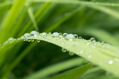 020年春节出生的鼠宝宝好不好取名缺什么五行？"