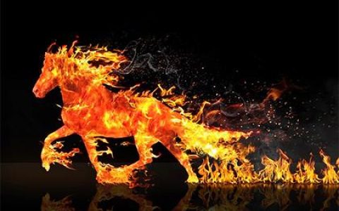 2019年4月4男宝宝五行缺木怎么样取名字好听