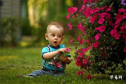 022虎年秋分出生的男孩取名，八字缺木怎么起名？"