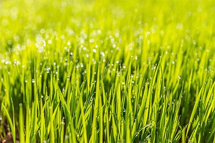 022年1月6日出生的男孩缺什么？五行起名大全"