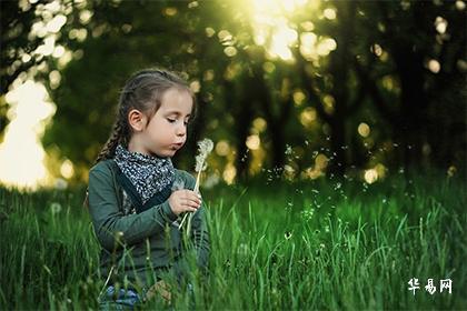 022虎年12月出生的缺木射手座女宝宝美丽大气的名字"