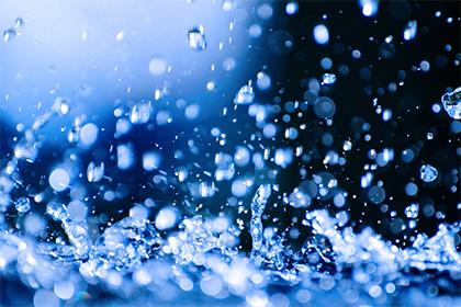 五行缺木的宝宝名字需要注意什么，宜用什么字