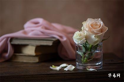 姓氏诸的历史起源由来介绍，诸怎么读