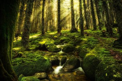 019年6月25号出生的女宝宝五行缺木要怎么起名字"