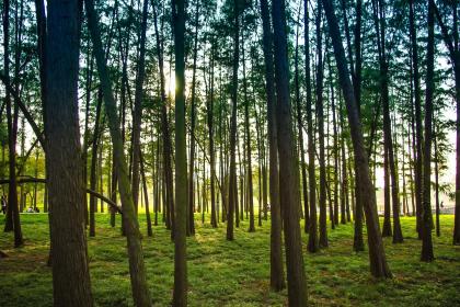 020年端午节出生的属鼠宝宝五行缺什么起名，起什么名字好？"