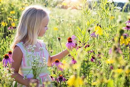 020年农历五月二十四出生女孩如何取名？起名有什么技巧？"