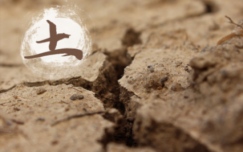 2018年农历十二月十九出生的宝宝根据五行缺失取名大全