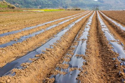 019年3月19号出生的男宝宝五行缺火要怎么起名字"