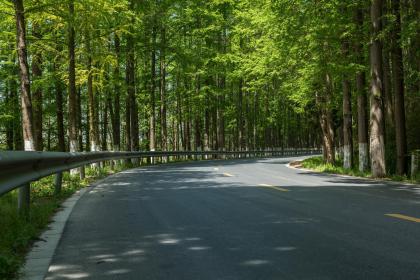 月29号巳时出生的女孩起什么名字好听，五行是什么？"