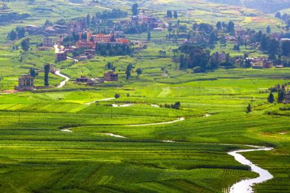 五行喜金的字都有哪些？女孩名字喜金怎么起名？