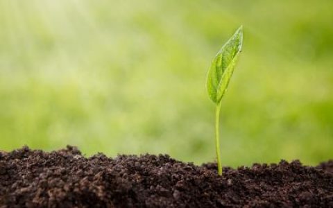 2020年腊月二十一出生男孩缺土起名，五行起名推荐