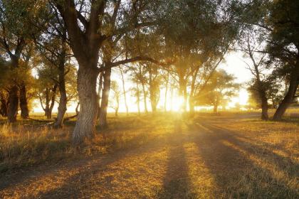 019年9月14号出生的男宝宝五行缺火取名怎么好"