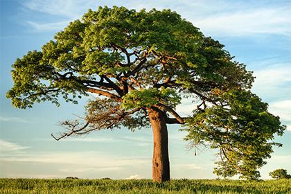 019年夏天出生五行属什么,是什么命？"