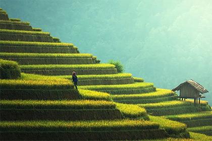 019年5月12号出生的双胞胎女孩起什么名字好听，五行属什么？"