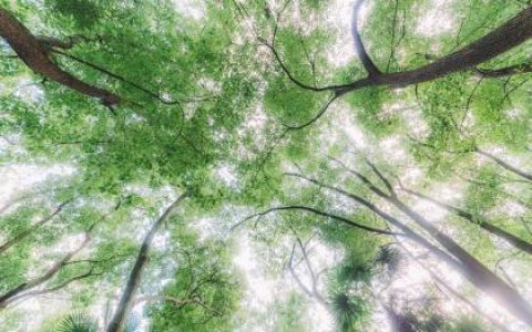 2018年农历七月十四生的男孩起名？宝宝的五行属什么？