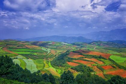 农历2019年三月十六子时出生的女宝宝如何起名字，五行属什么