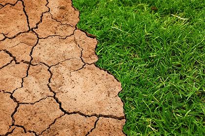 019年11月11号出生的双胞胎男孩起什么名字比较好，五行属什么"