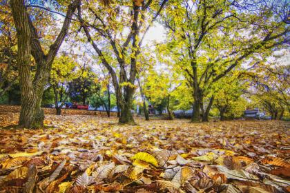 019年七月十九出生的双胞胎女孩起名宜用什么字，五行属什么"