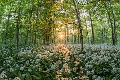 019年六月十三出生的双胞胎女孩怎么样起名，五行属什么"