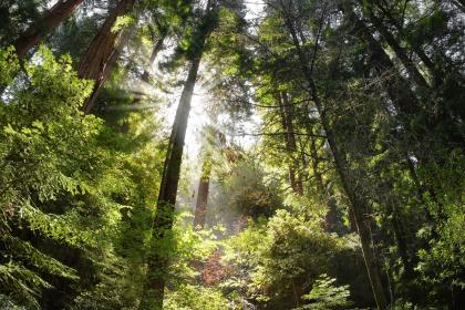 019年12月2号出生的男宝宝五行缺金要取名怎么样好"