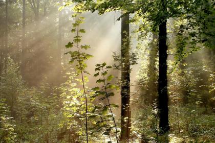 019年8月10号出生的女宝宝五行缺金要如何来起名"