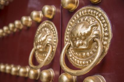 身上哪里长毛最为的富贵？身上的毛长在哪里比较好？